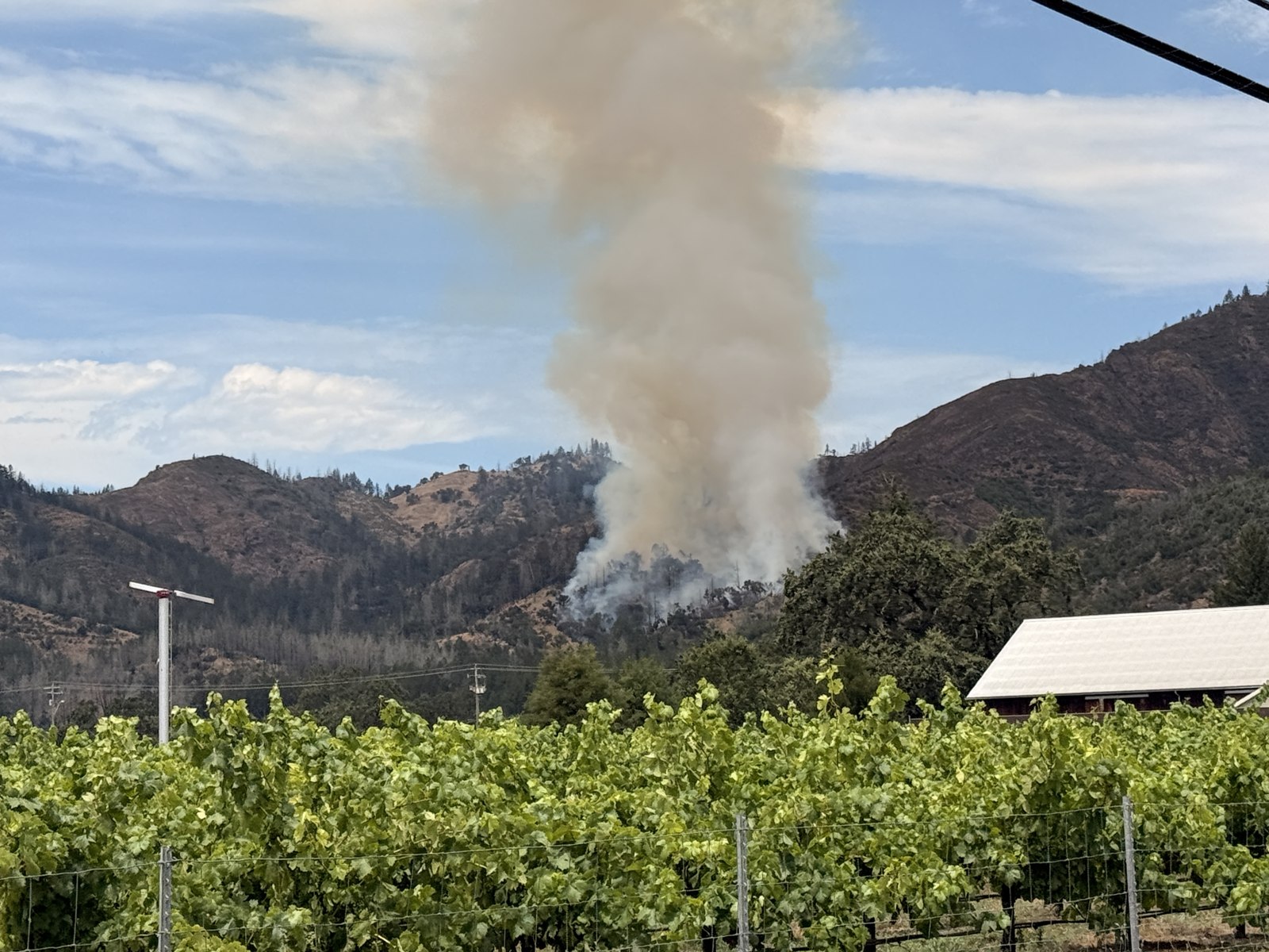 The first hour: the column rises beyond the vines along Sonoma Highway, Monday afternoon.